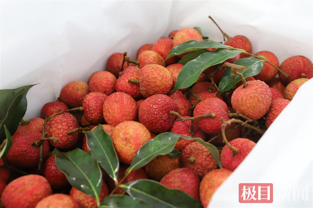 经花湖机场运送到客户手中的新鲜荔枝 (3).jpg