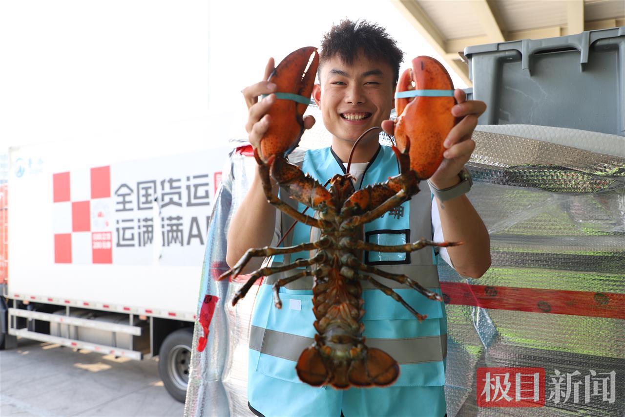 花湖机场运送的波士顿龙虾.jpg