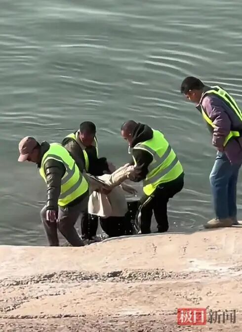 4名渡船安全员联手将溺水女子救起(目击者拍摄视频截图).png 4名渡船安全员联手将溺水女子救起(目击者拍摄视频截图).png