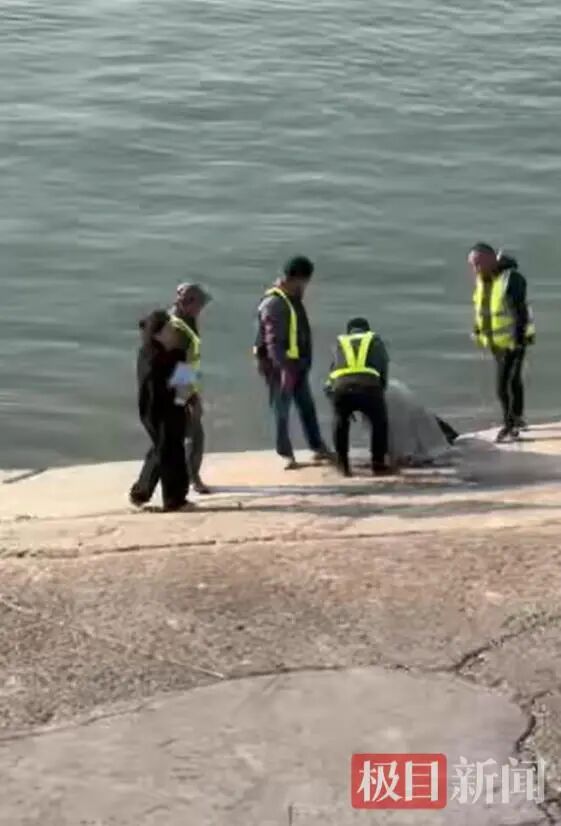 和顺96号渡船4名安全员联手将女子救起(目击者视频截图).png 和顺96号渡船4名安全员联手将女子救起(目击者视频截图).png