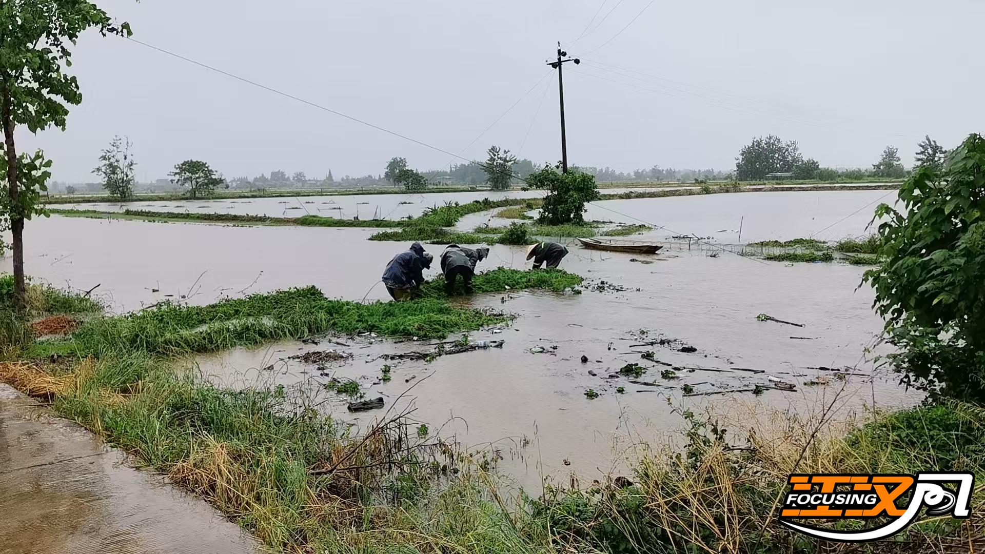 正在上传...