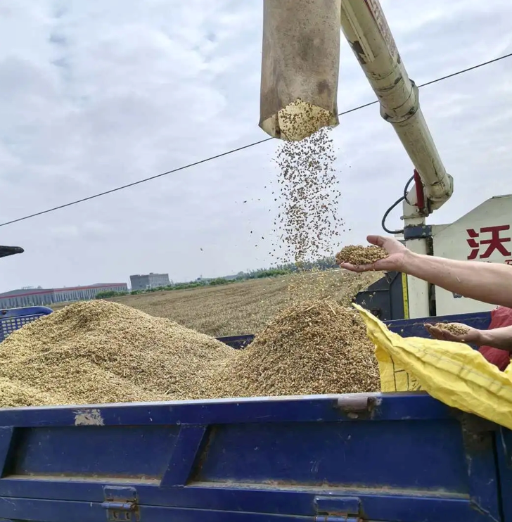 正在上传...