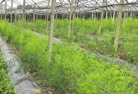 正在上传...