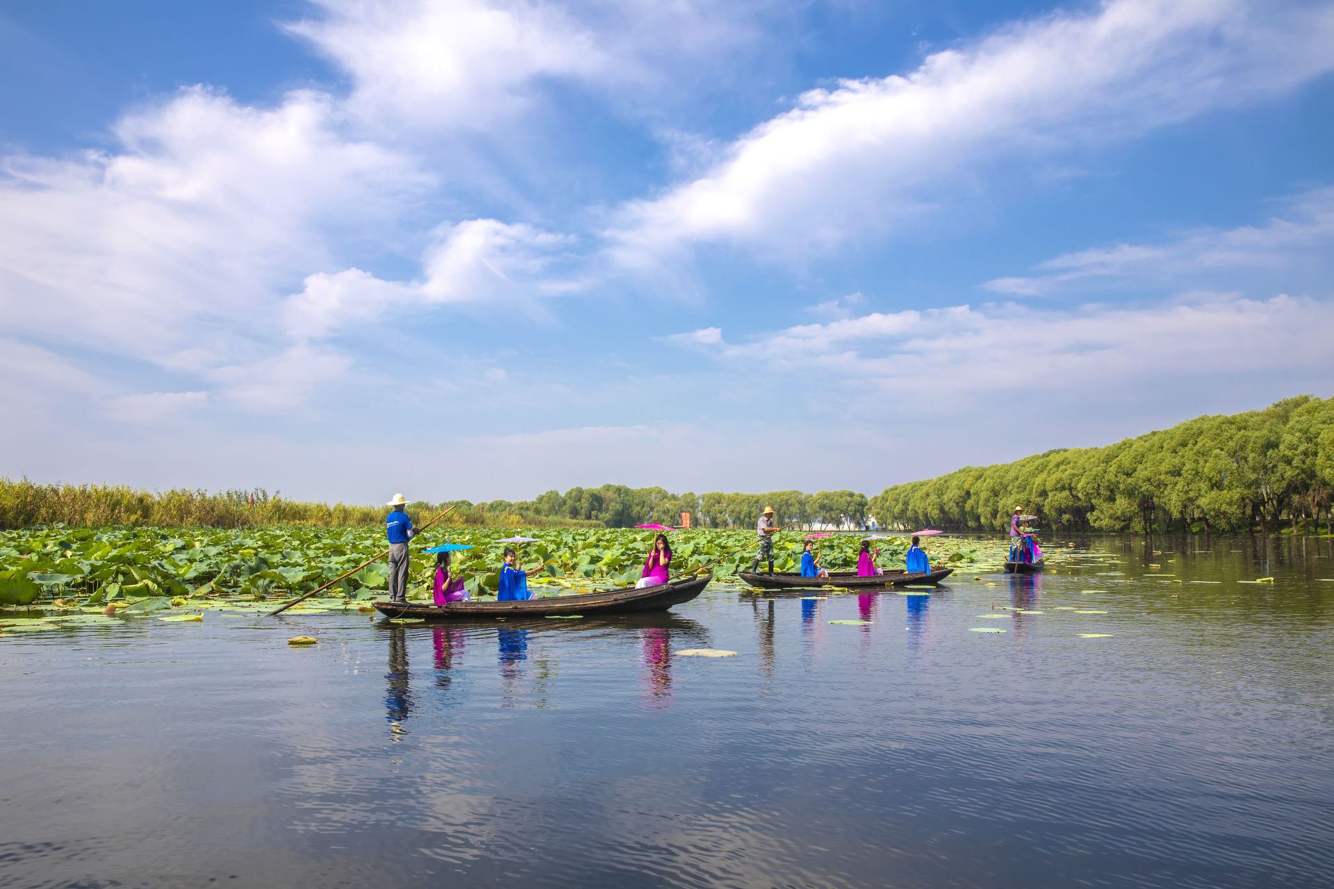 湖北洪湖风景图片图片