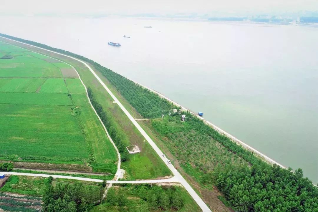 主题教育进行时部门齐发力保护长江母亲河