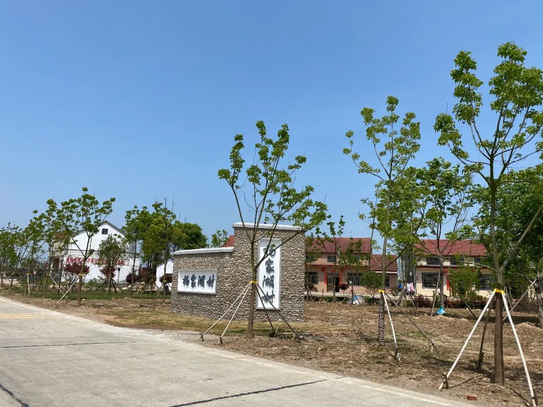 斑竹垱镇2020年第一季度乡村振兴工作拉练比出新气象