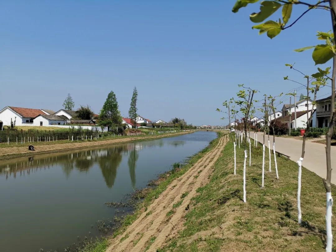 斑竹垱镇2020年第一季度乡村振兴工作拉练比出新气象