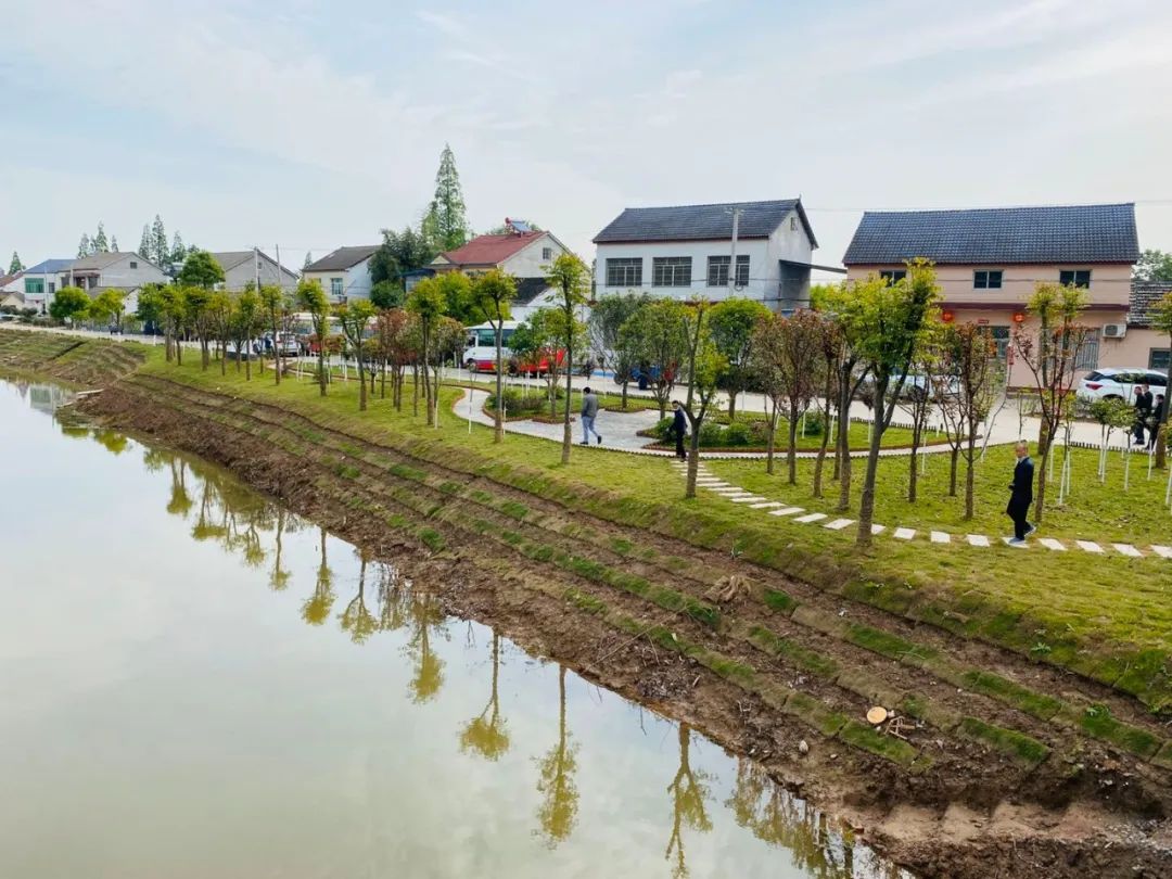 斑竹垱镇2020年第一季度乡村振兴工作拉练比出新气象