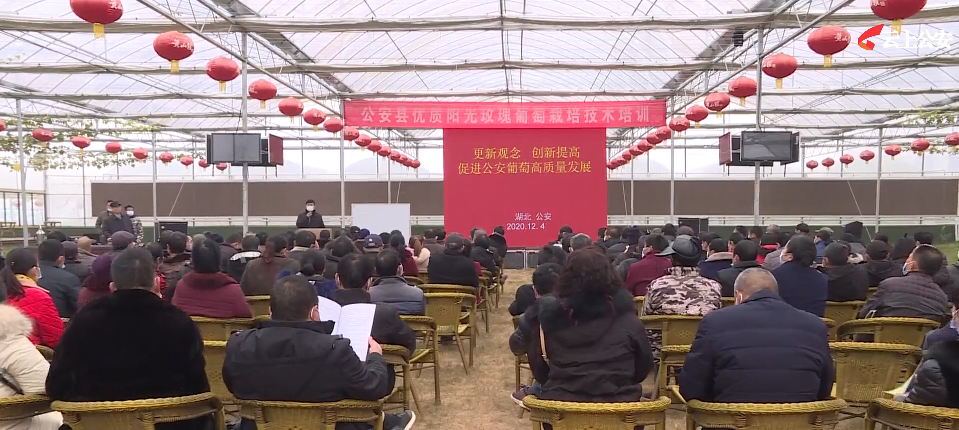 在章庄铺镇欣荣村鑫盛农贸葡萄种植基地,县人大常委会副主任张家军