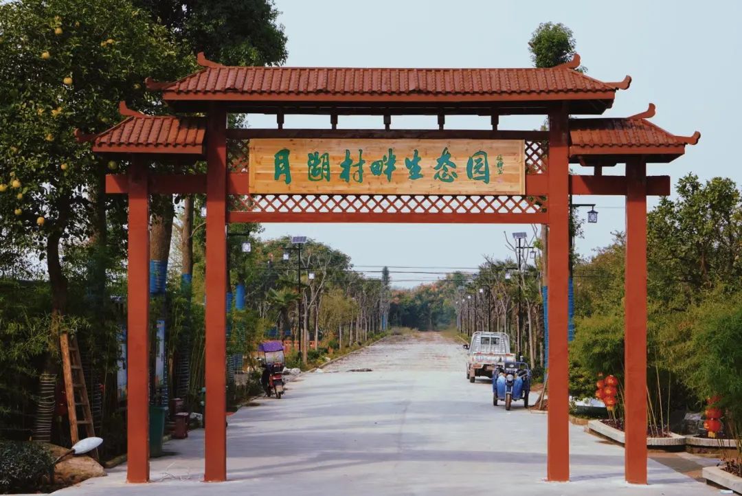 是我镇赵家村人,他说道这已经是第四次被聘请来月湖村畔生态园务工了