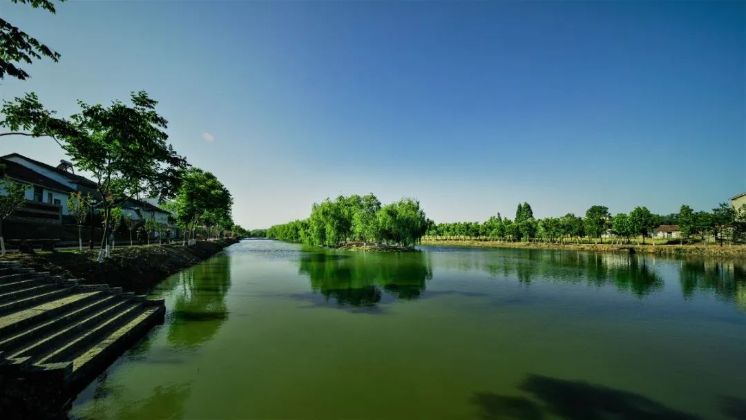 公安县美丽乡村水润北堤