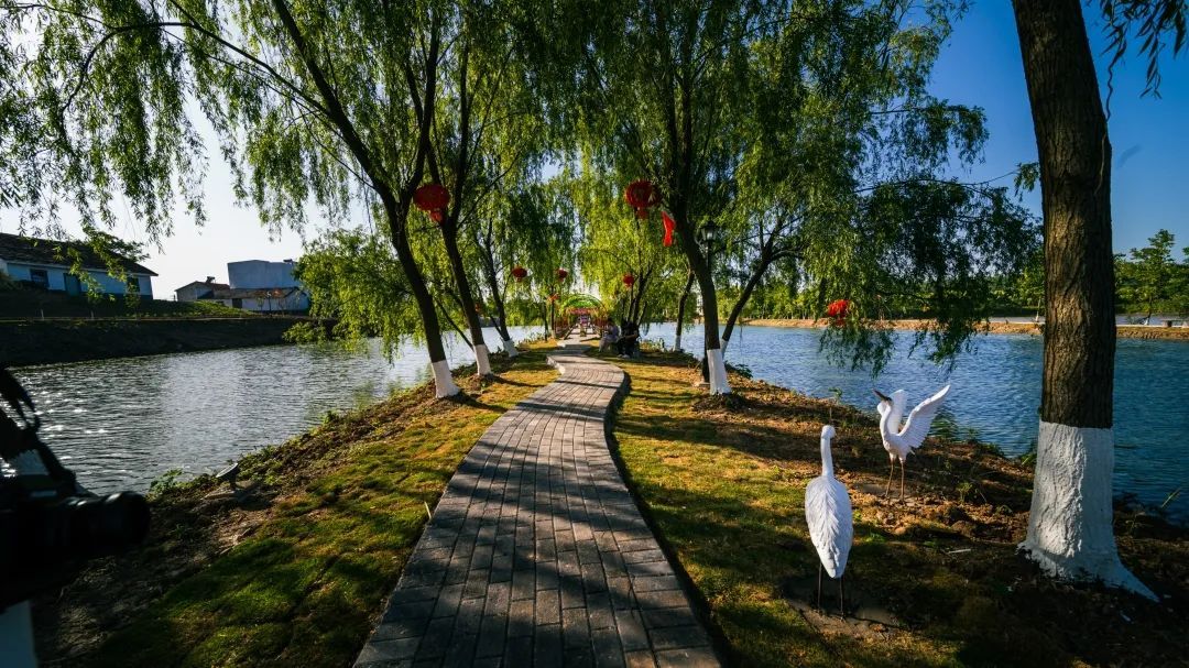 公安县美丽乡村水润北堤
