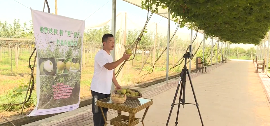主播王云通过抖音平台对翠冠梨从外观,果皮,糖份等方面进行讲解,吸引