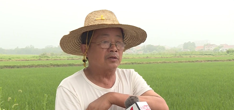 公安县《两优一先 时代风采》系列报道 吴昌元:头雁引领 建强堡垒