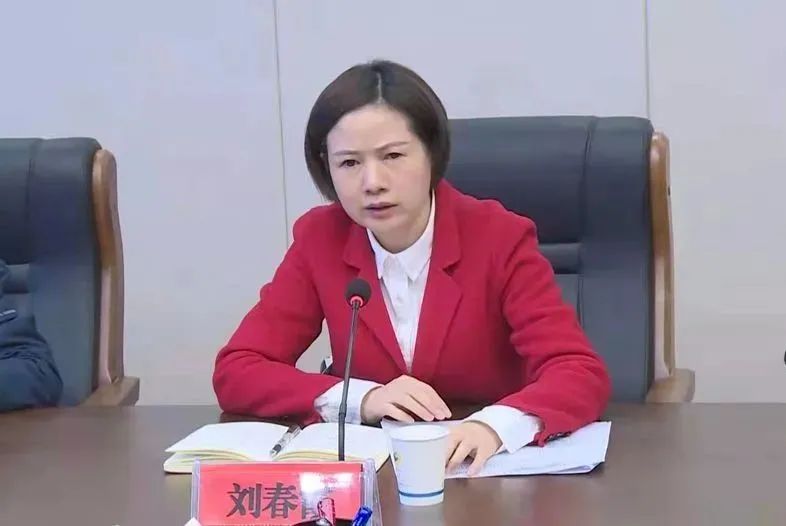 县委副书记,县长刘春霞肯定了各乡镇前期在疫情防控中所做的工作.