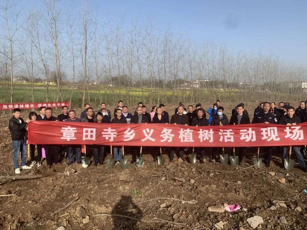 新时代文明实践弘扬生态文明共建绿色家园章田寺乡开展义务植树活动