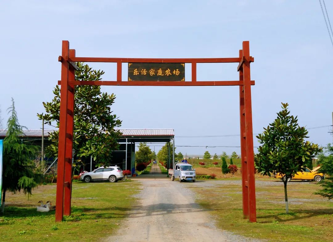 地址:毛家港镇曹咀村油菜花公安县麻豪口镇麻豪口镇17个村3个社区,均