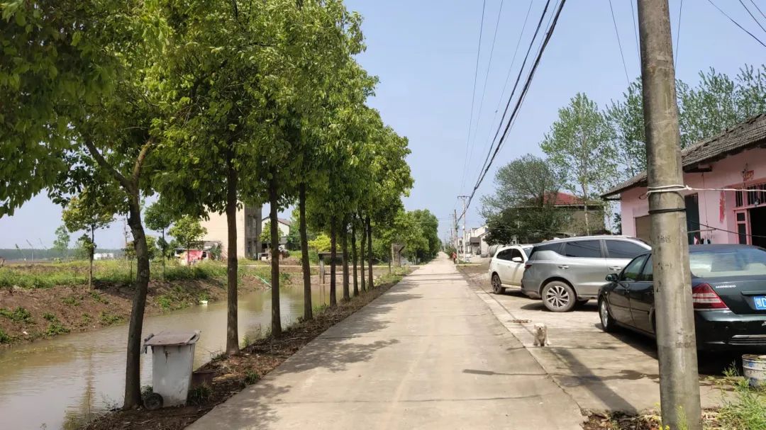 藕池镇开展2022年第一次乡村振兴拉练活动