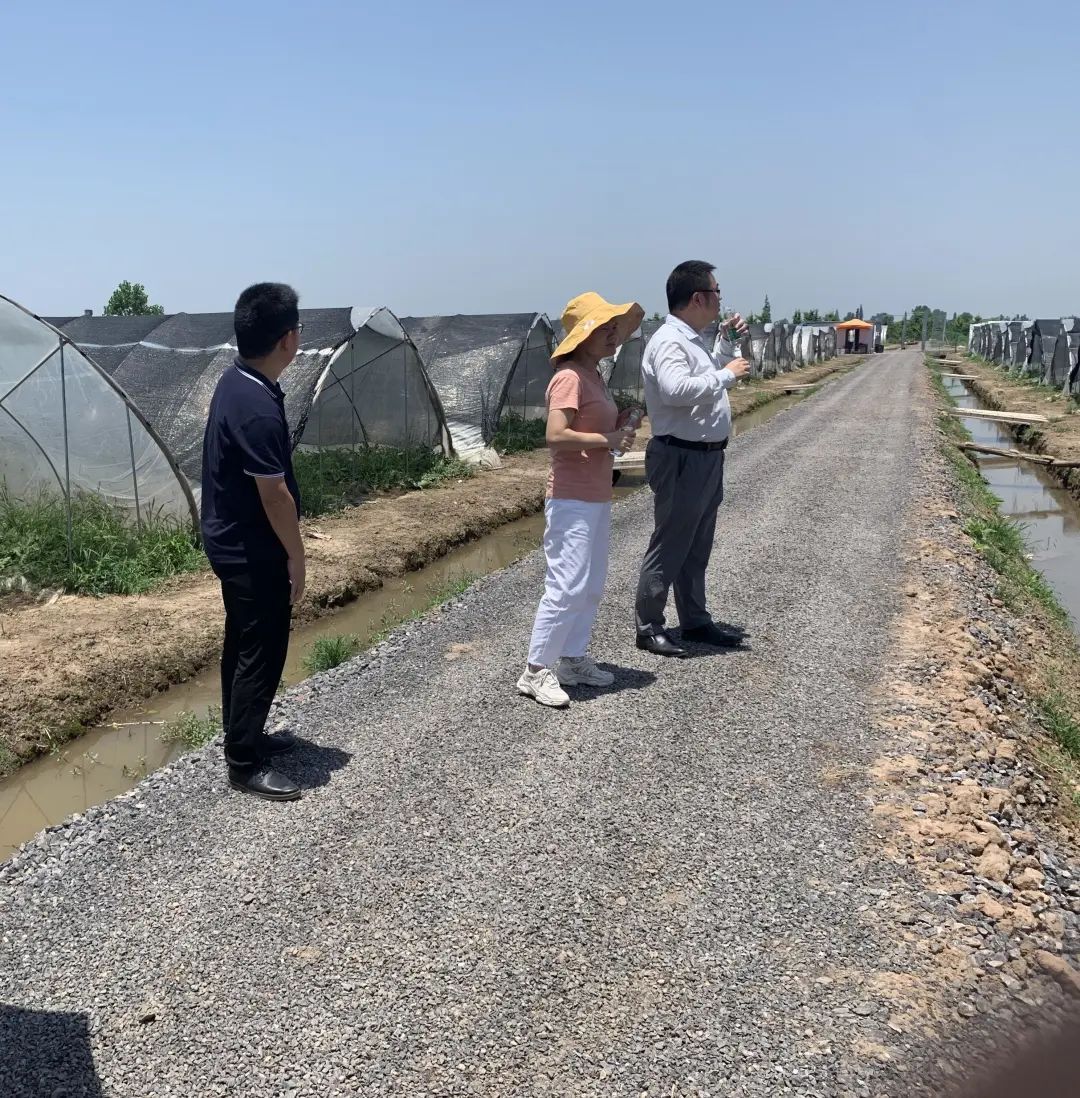 陈俊杰到斑竹垱镇开展"下基层察民情解民忧暖民心"实践活动_云上公安