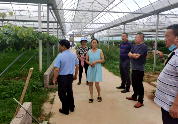 【下基层察民情解民忧暖民心】:县乡村振兴局党员干部在行动_云上公安