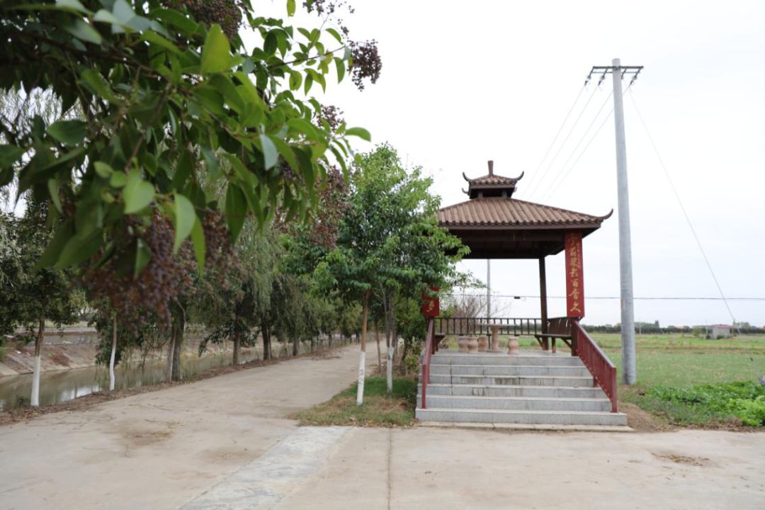 绿树成荫,树木环绕,这里是白马寺镇._云上江陵