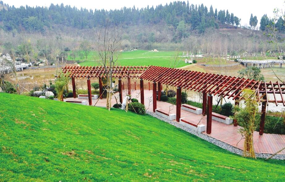 宜昌开展生态治理宜昌试验观察之复绿于山修山予民