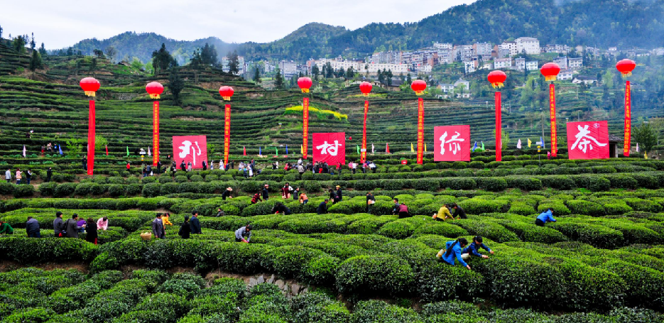 周邊參觀點:金湖國家溼地公園,太清洞,鳴鳳山,百里荒景區遊覽點:枝江