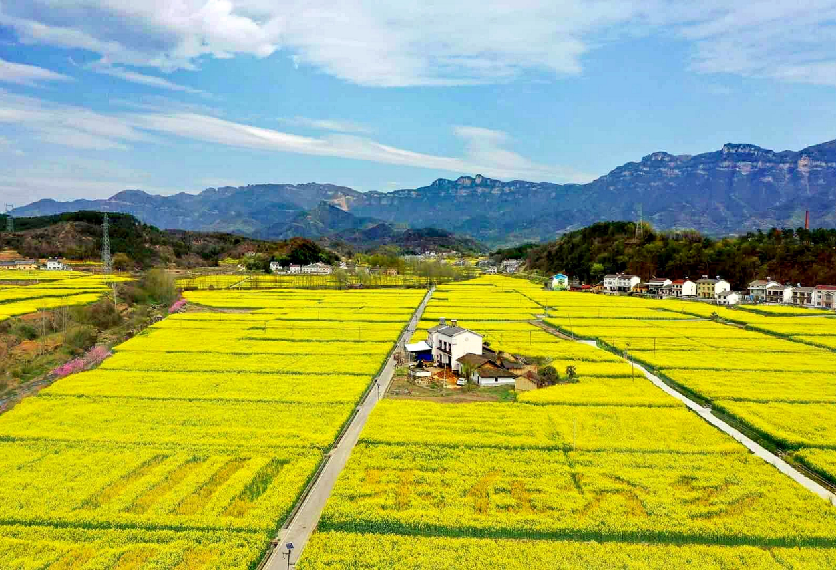 龍泉古鎮,龍泉湖遊覽點:富裕山四季採摘園→藍