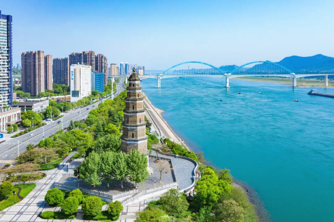 摄江豚吹浪立 沙鸟得鱼闲人与自然和谐相处的美景随处可见长江宜昌段