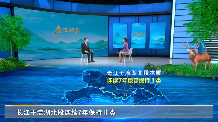 省生态环境厅党组书记、厅长严天文：深入实施美丽湖北战略 为支点建设提供坚实生态环境支撑  