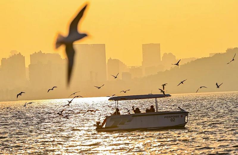 为何这十城，全部为人口净流入城市