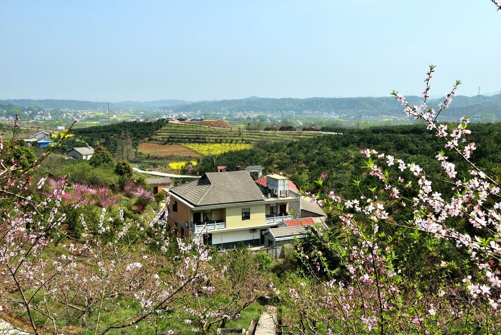 全心畈村获"中国美丽休闲乡村"称号_云上宜都