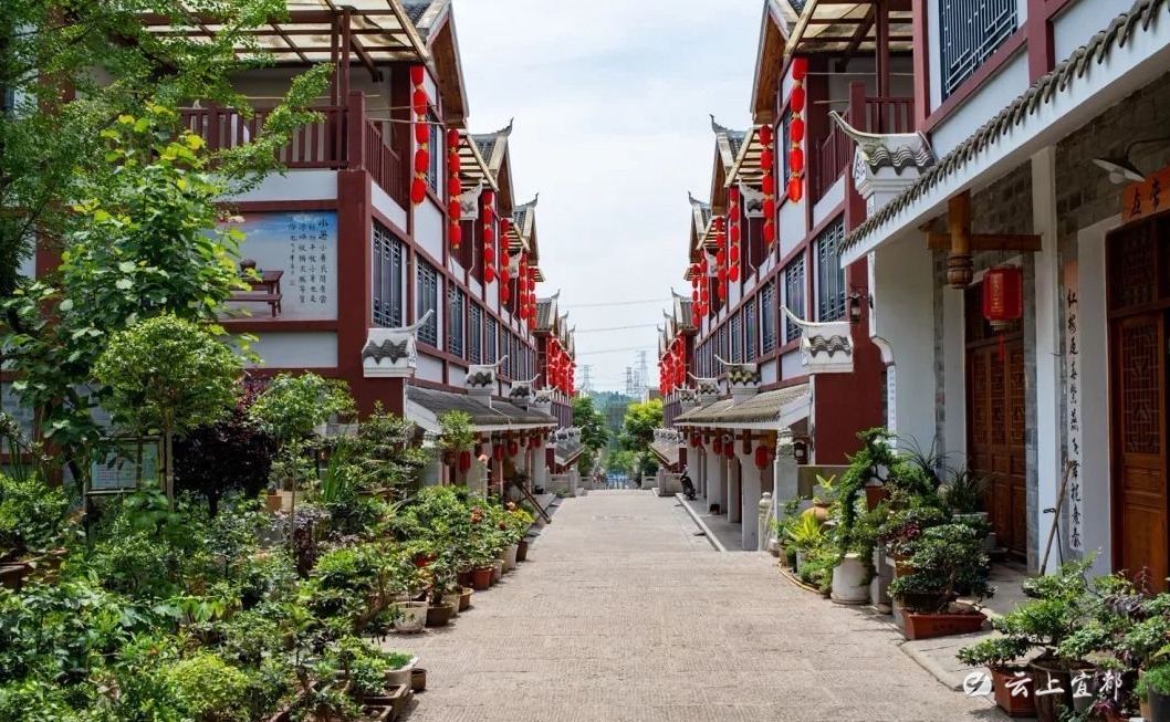 到青林寺村感受桐树堰的慢生活