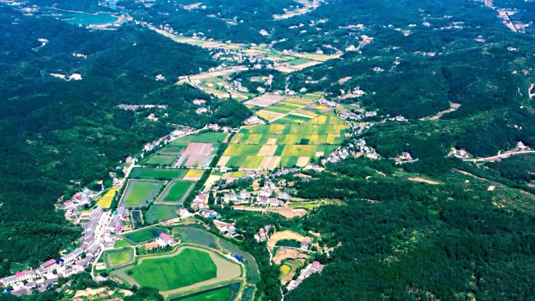 松木坪镇:"稻香小镇"又"稻"丰收季_云上宜都