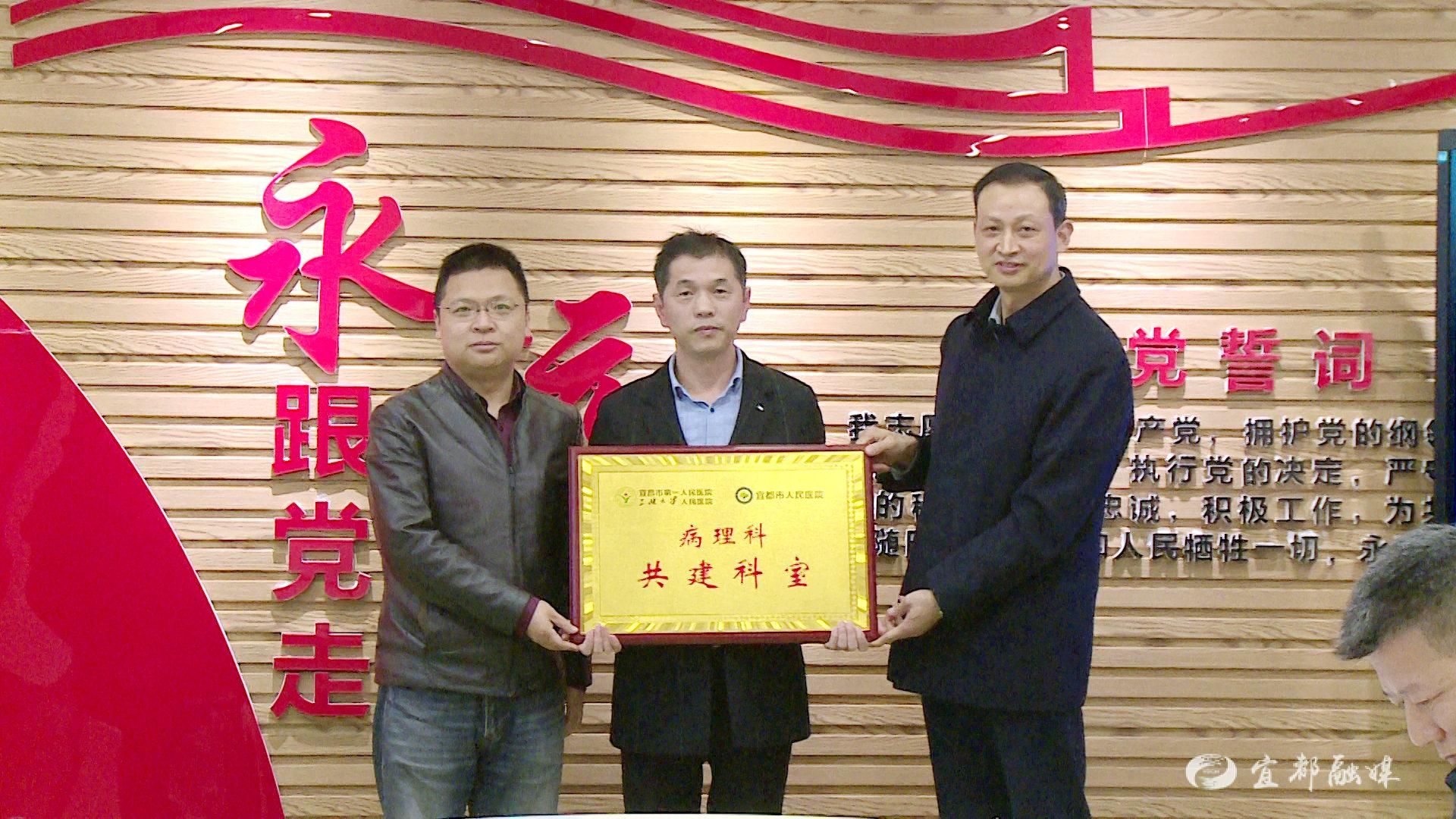 (责编:向姝  审核:黄金波)