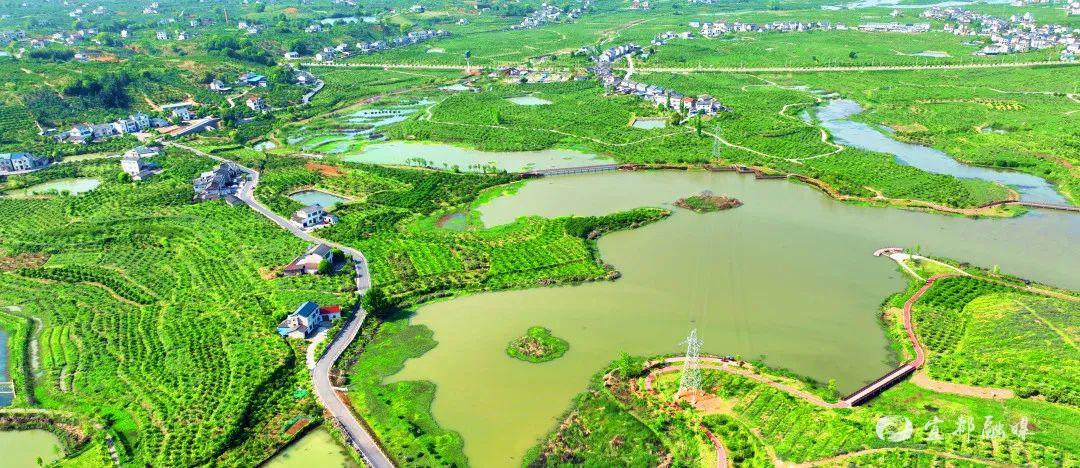 高坝洲镇党委政府高度重视"四好农村路"示范镇创建工作,成立领导小组