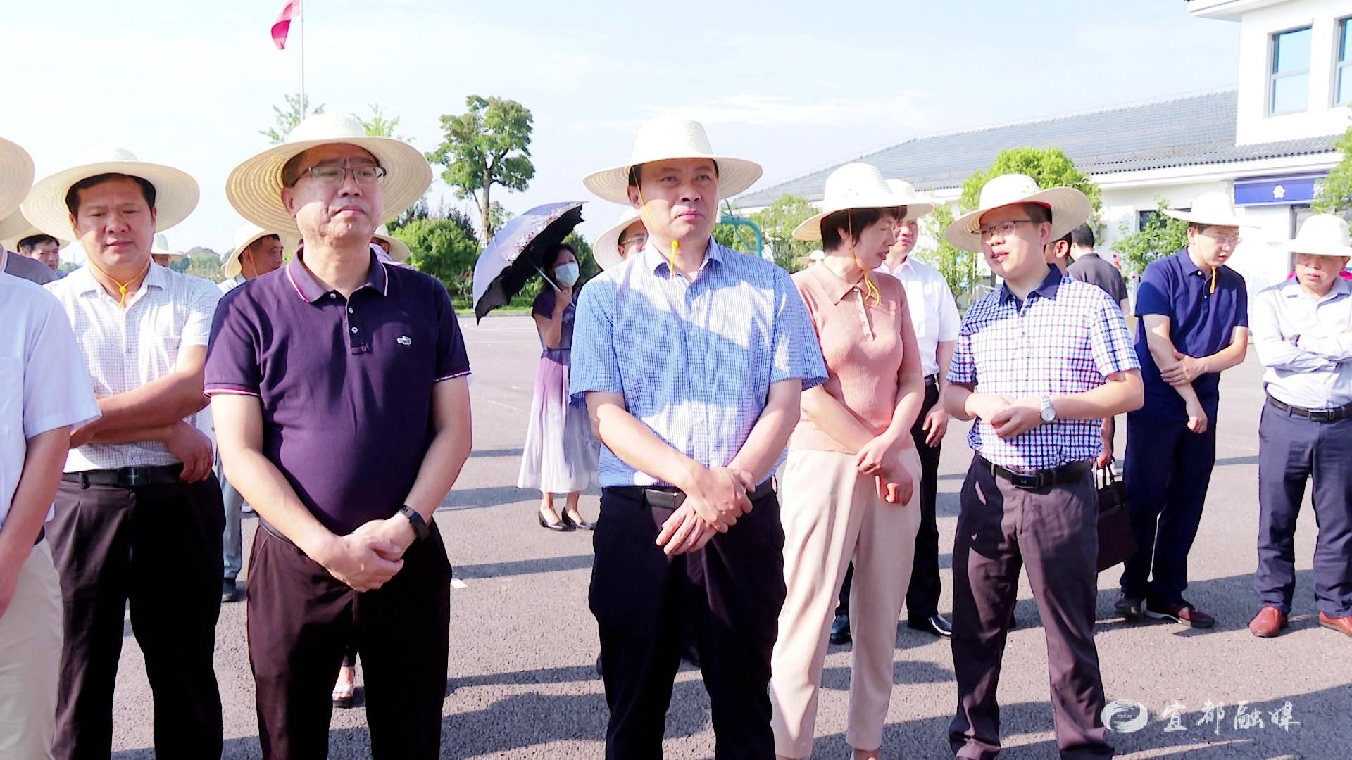 我市举行2022年度推进乡村振兴实绩考核拉练活动-湖北宜都网