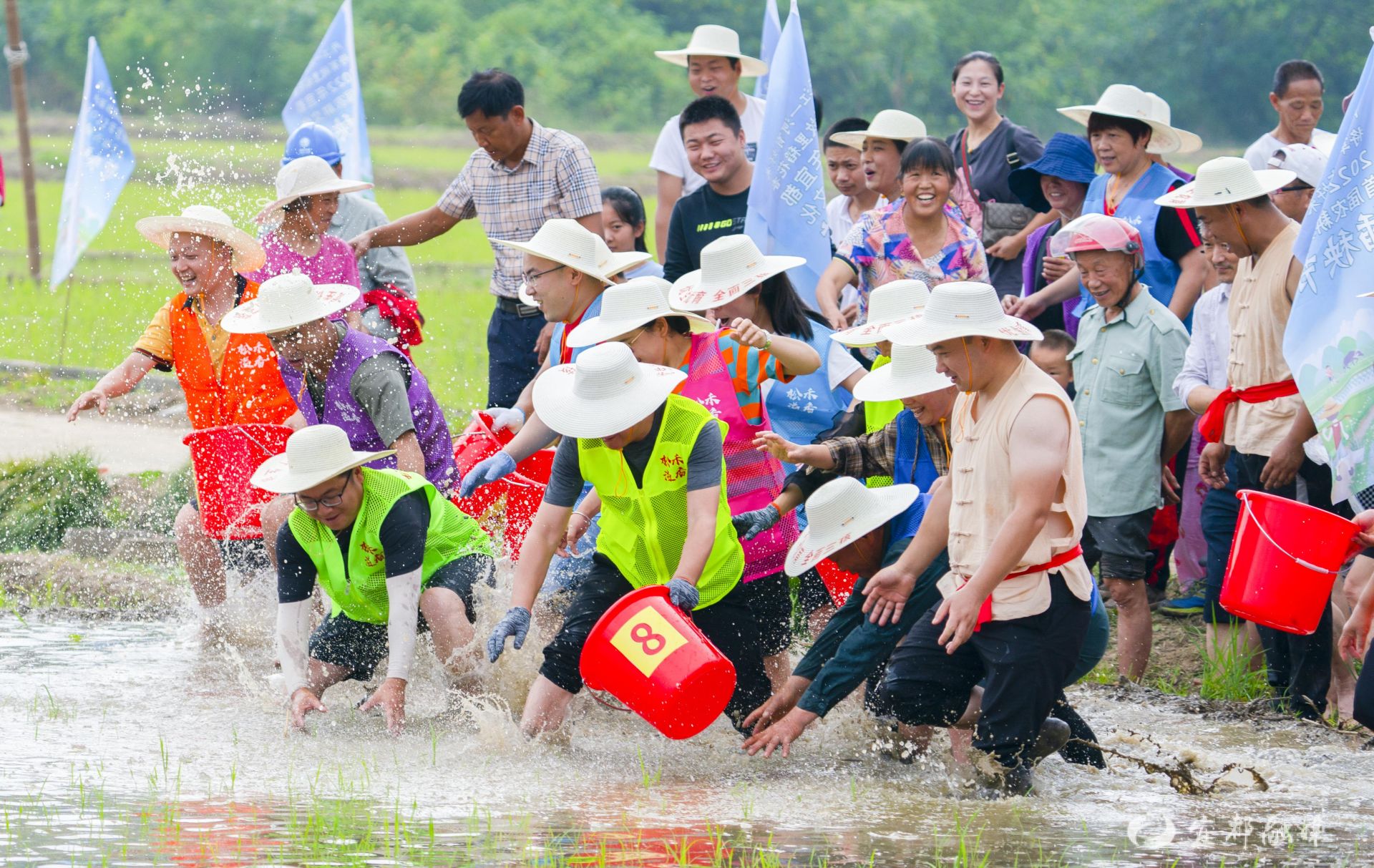 宜都首届农耕文化插秧节闹热田园