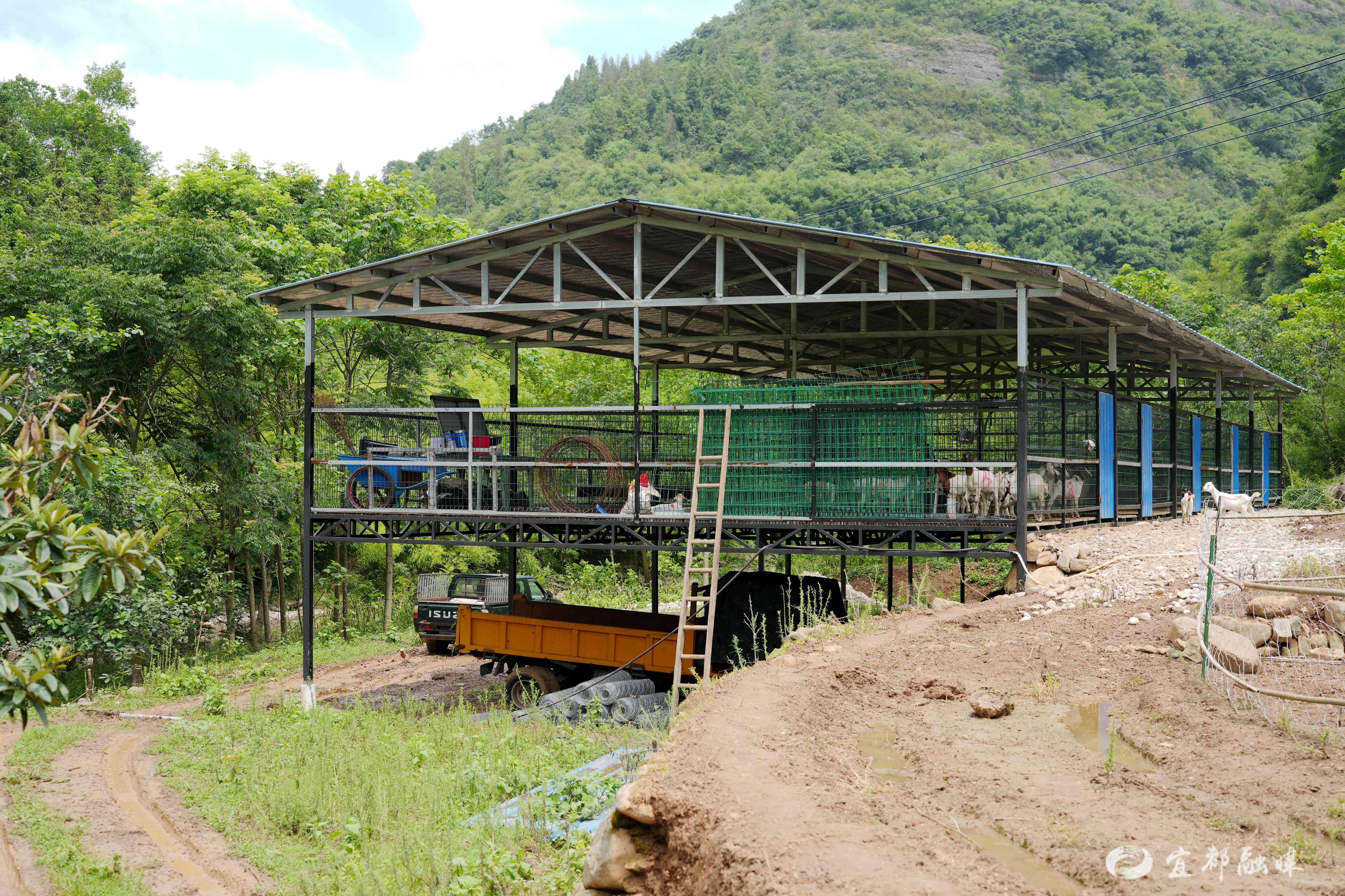 羊圈建造图片