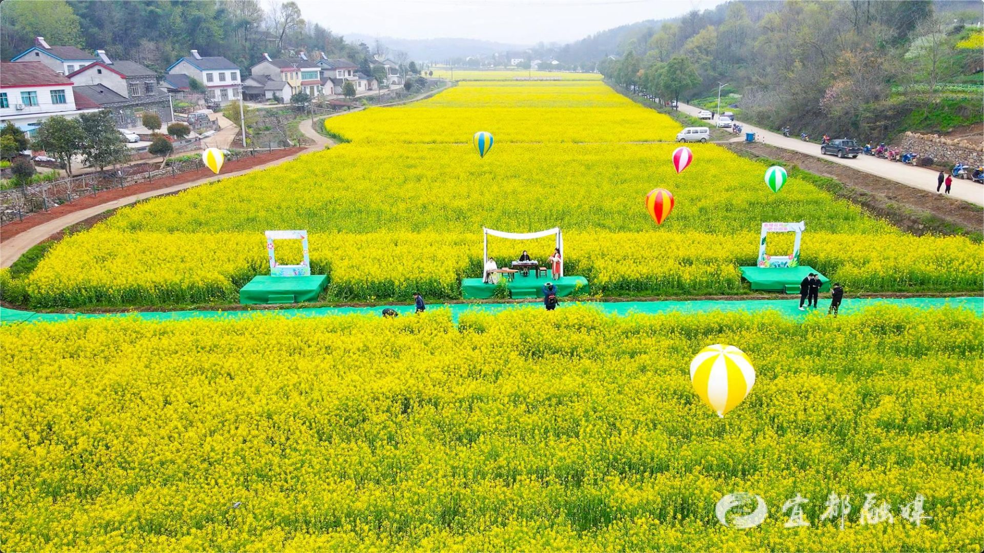 近日,在湖北省宜都市松木坪镇金岗岭村,上演了一场热闹非凡的趣味运动