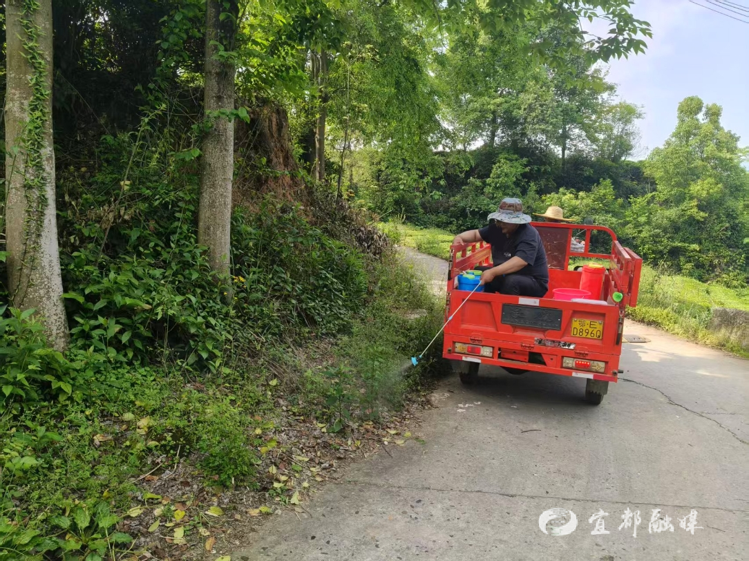 正在上传...