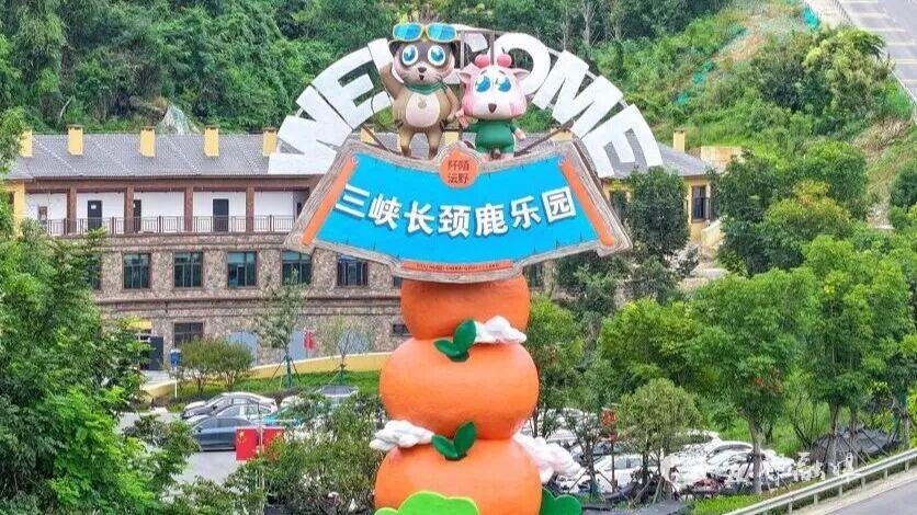 微信图片_2025-09-28_162240_788.jpg