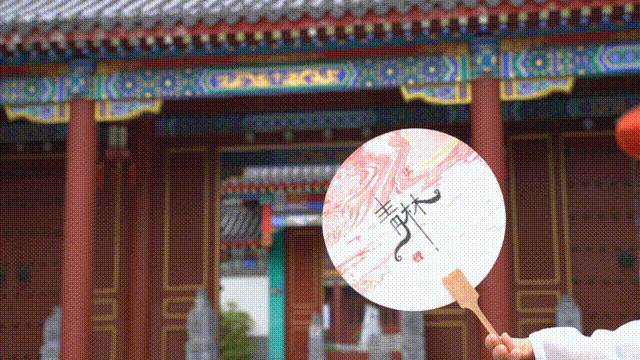 4月24日 (1) 00_00_00-00_00_30.gif