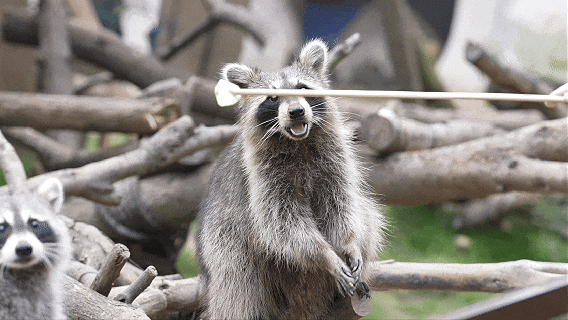 7月7日.gif