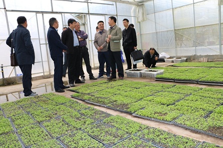 市政府副市长彭必武,市委农办副主任(市农业局副局长)覃太权陪同调研.
