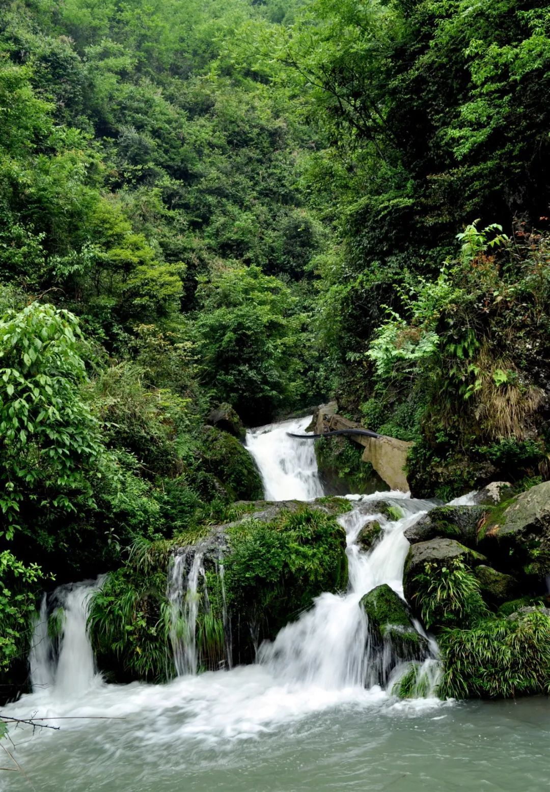 人民日报这篇文章带你走进山水利川