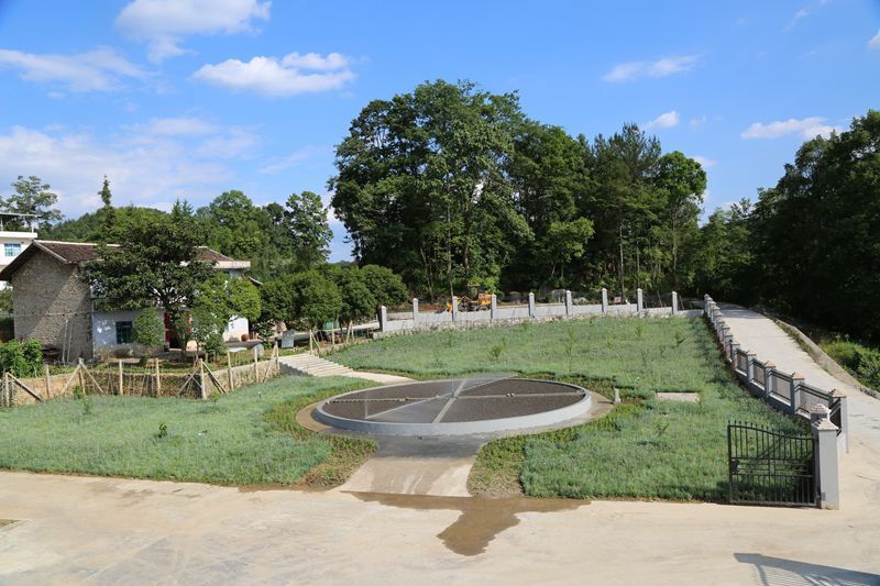 纤云舒卷香满园,枝繁叶茂锦添花!