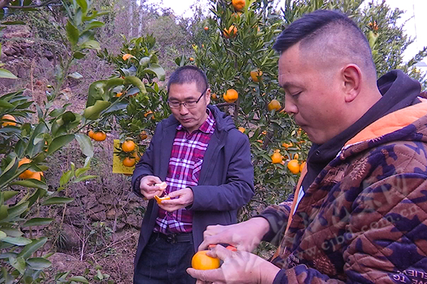 人大代表风采孔凡林一心为民守初心