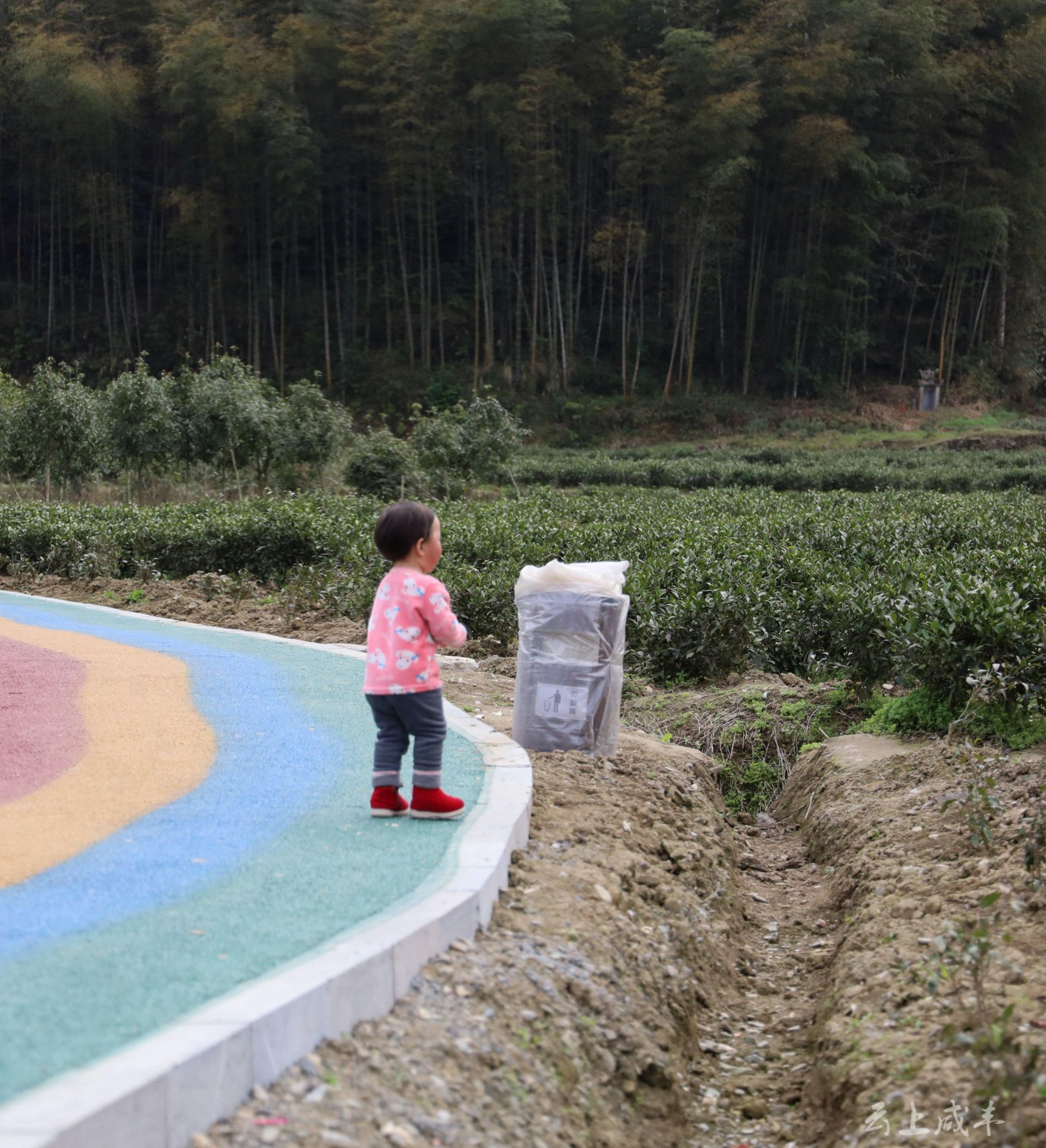 咸丰:马河坝村加快美丽乡村建设步伐