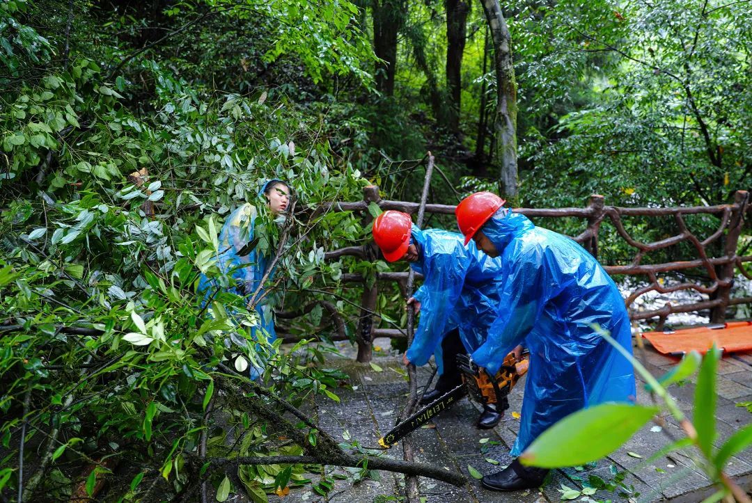 恩施坪坝营景区开展灾害性天气应急演练_长江云